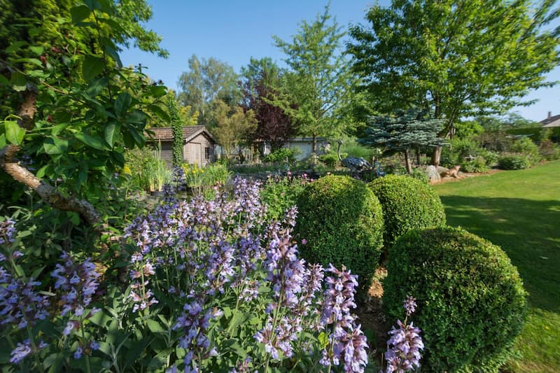 Entretien De Jardin Vivier Au Court Brunelet Paysage Sedan